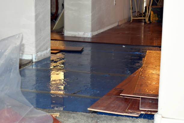 Professional Basement Flood Cleanup technician working in Sheboygan, WI